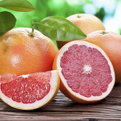 greyfurt-fidanlari.jpg Kategori Resmi