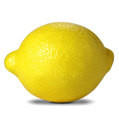Lamas Limon Fidanı görseli