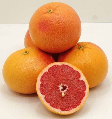 Rio Red Greyfurt Fidanı görseli